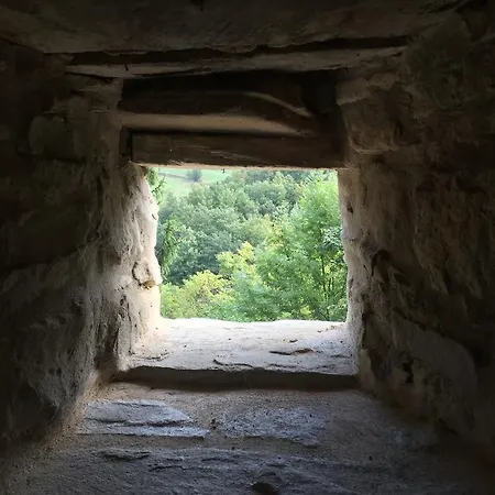 Castello Di Brandola * Polinago