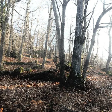 Castello Di Brandola Casa de Férias