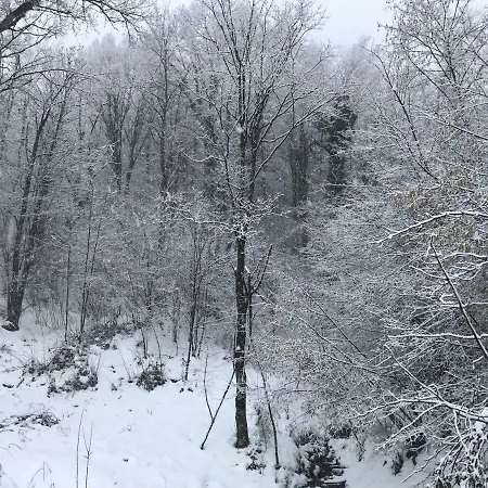 Castello Di Brandola Polinago