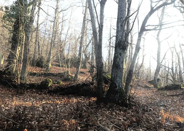 Castello Di Brandola Dom wakacyjny