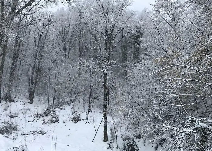 Castello Di Brandola Polinago